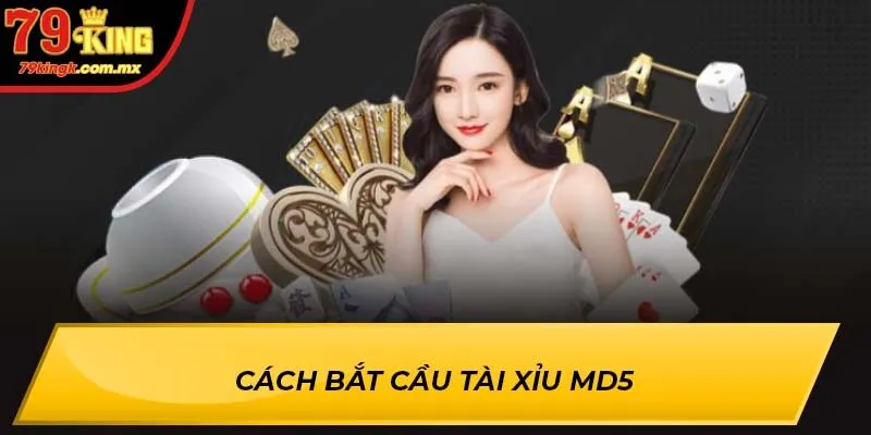 Cách bắt cầu tài xỉu MD5