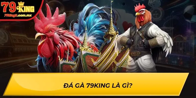 Đá Gà 79KING là gì?
